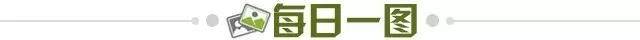 c41dc9ce-8e70-4880-ad98-47066970fb6e.jpg@!img01